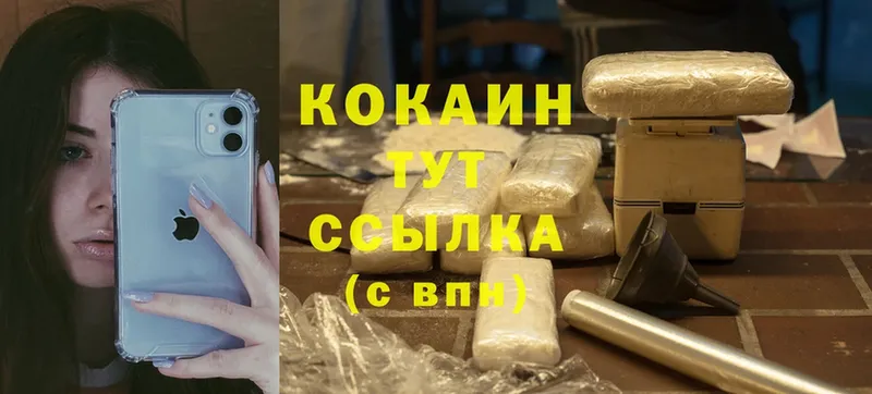 Cocaine FishScale Железногорск-Илимский